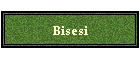 Bisesi