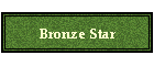 Bronze Star