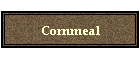 Cornmeal