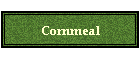 Cornmeal