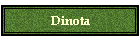 Dinota