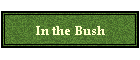 In the Bush