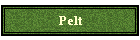 Pelt