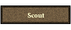 Scout