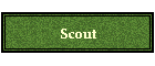 Scout