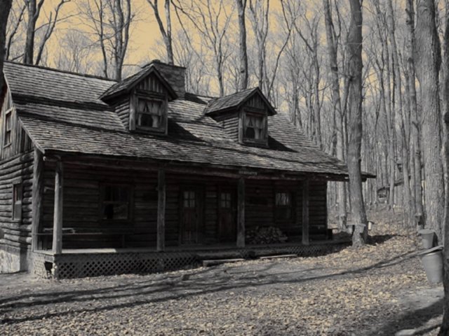 Photograph