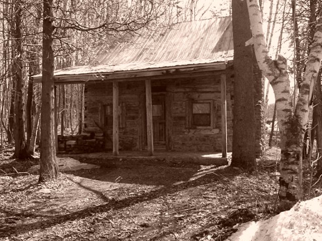 Photograph