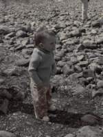 Photo Number 13