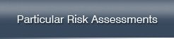 Risk Assessment 